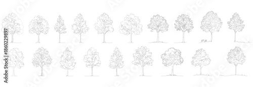 A large collection of 18 detailed black and white line art illustrations of various deciduous and coniferous trees, presented as silhouettes for architectural plan elevation and landscape design 