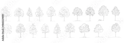 Fototapeta A large collection of 18 detailed black and white line art illustrations of various deciduous and coniferous trees, presented as silhouettes for architectural plan elevation and landscape design 