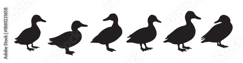 Set of silhouettes of ducks on a white background