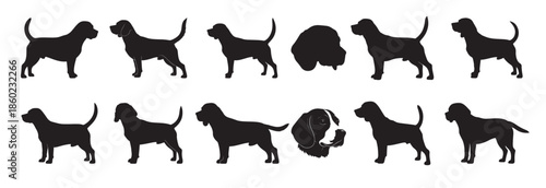 beagle dogs silhouette white background