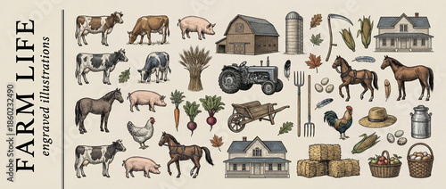 Exploring the charm of farm life through beautiful engraved illustrations of animals, produce, and rustic scenery