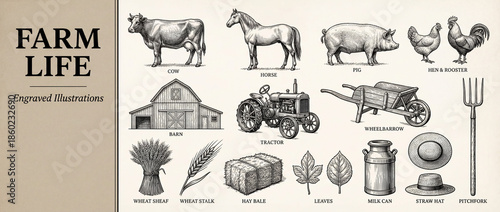 Explore the beauty of farm life through engraved illustrations showcasing animals and tools found in a rustic countryside setting
