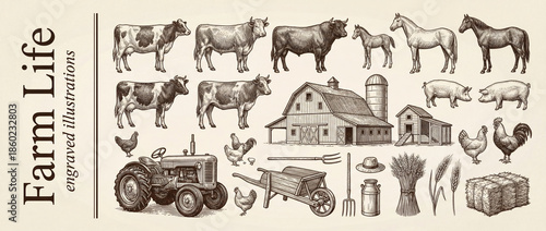 Vintage engraved collection showcasing farm life with charming animals and rustic tools set in a peaceful countryside scene