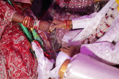 Sacred Traditional Indian Marriage Vidhi with Rituals and Cultural Ceremonies