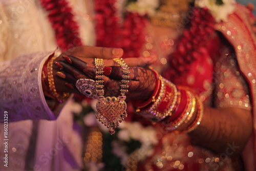 Sacred Traditional Indian Marriage Vidhi with Rituals and Cultural Ceremonies