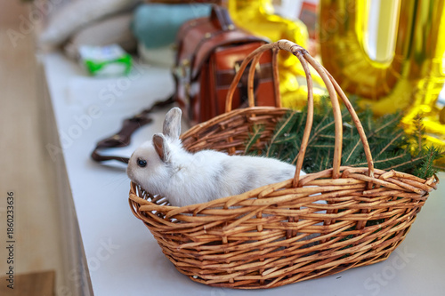 Festive decor and a bunny in a basket on a window sill on Christmas Eve. New Year's concept.