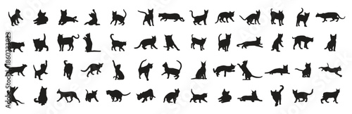 Set of cat vector illustration