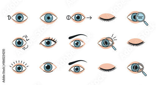 Illustration of Human Eyes and Eyelashes.