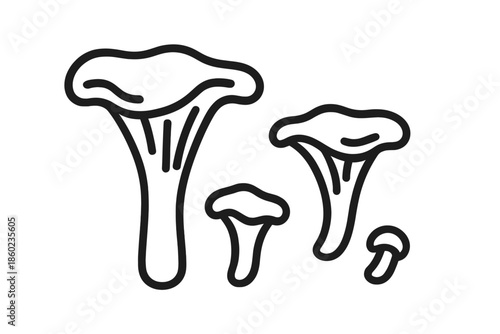Chanterelle mushroom outline illustration
