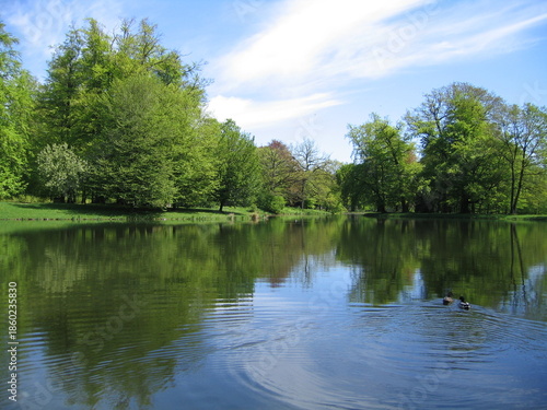 Großer Parkteich im Schlossgarten von Gotha