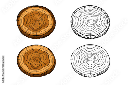 Two pairs of tree rings, one colored and one black and white