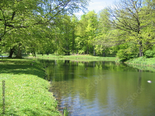 Großer Parkteich im Schlossgarten von Gotha