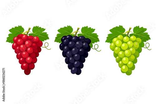 Three Bunches of Grapes on Green Background