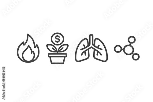 Four abstract icons representing fire, growth, lungs, and molecules on a gray background