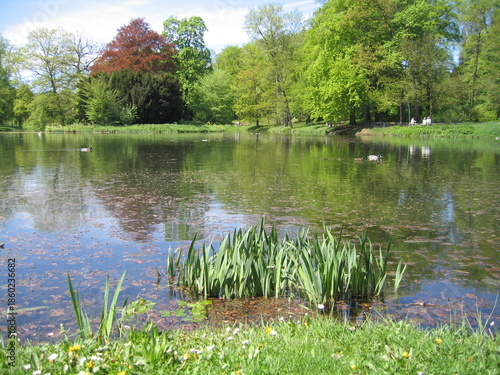 Großer Parkteich im Schlossgarten von Gotha