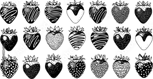 Black and White Line Art Vector Illustrations of Chocolate Covered Strawberries Collection. Hand Drawn Food and Dessert Design Elements for Sweet Berry Concepts.