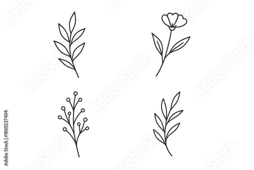 Set of four minimalist botanical line drawings on a dark gradient background