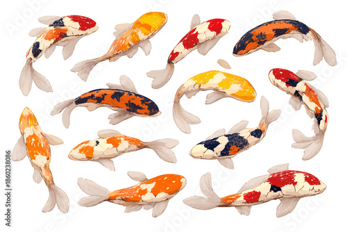 Koi fish swimming, colorful patterns