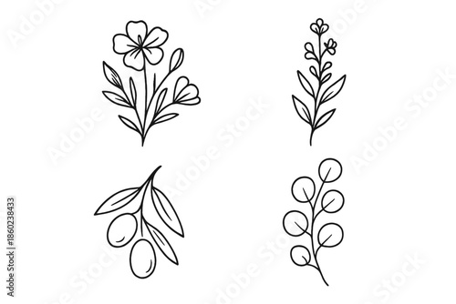 Minimalist botanical line drawings on a gradient background