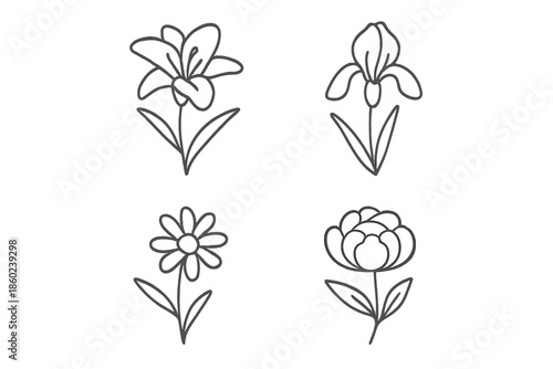 Set of stylized flower line drawings on a grey background