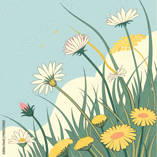 background with camomiles