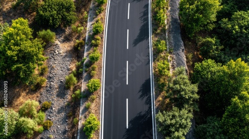 A road with a tree line on either side