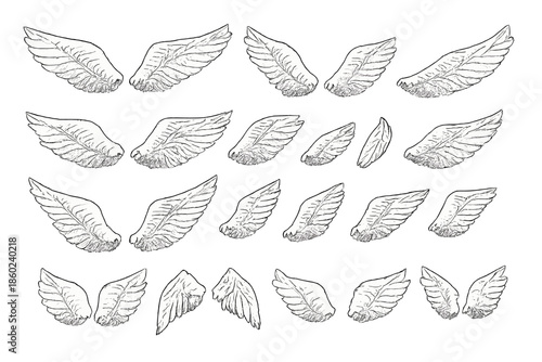 Set of sketched angel wings on a gray background