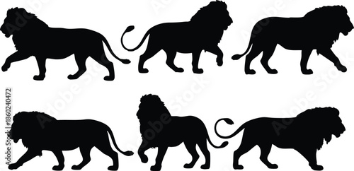 Collection of Lion Silhouettes, Six Black Lion Vector Outlines, Set of Minimalist Lion Side-Profile Graphics, silhouette, illustration, vector