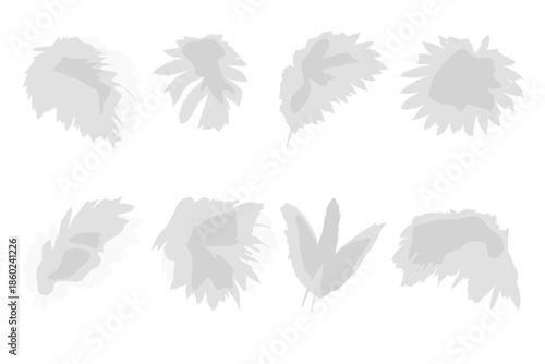 Abstract White Feathers on Blurred Gray Background
