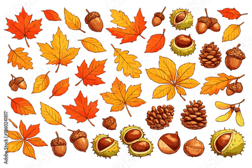 Autumn Leaves, Acorns, Chestnuts and Pine Cones Background