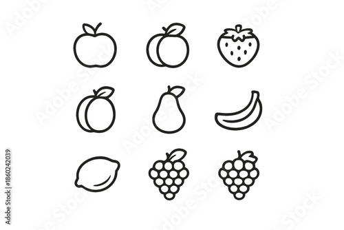 Fruit Icons Set on Gray Gradient Background
