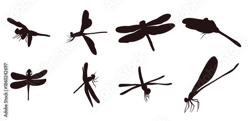 dragonfly silhouette with many options flying dragonfly