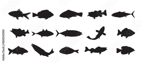Set of fish vector illustration