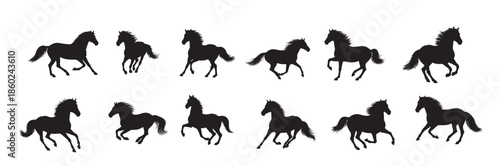 mustangs silhouette white background