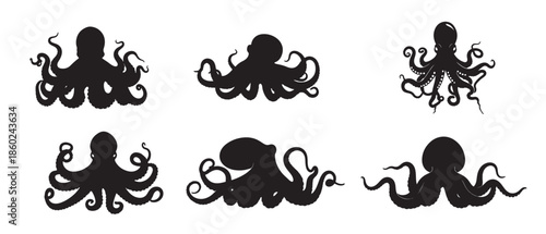octopus silhouette white background