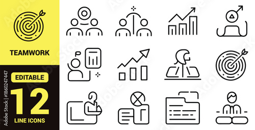 Set of 12 black and white line icons representing teamwork, leadership, healthcare, analytics, strategy, global reach, and collaboration