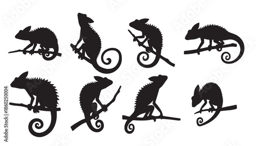 chameleon silhouettes set illustration
