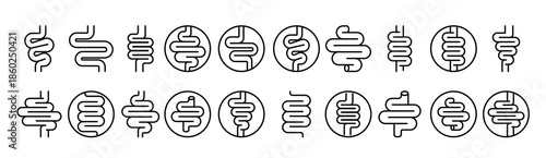 Digestion and Intestine Simple Isolated Line Icons Collection. Editable Stroke. Suitable for Web Sites, Books, Cards, Apps