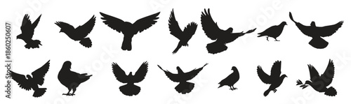 Dove silhouette vector illustration