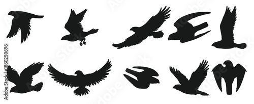 Eagles and hawks black silhouettes vector birds