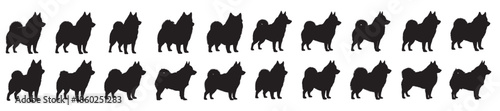 schipperke dog silhouette white background