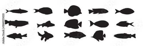 Set of fish vector illustration