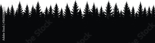 Pine forest silhouette panorama, coniferous tree border, black nature landscape background, isolated wood design, cad drawing flat vector illustration.