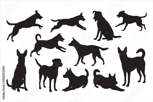 Silhouettes of various dogs in different poses on white background black