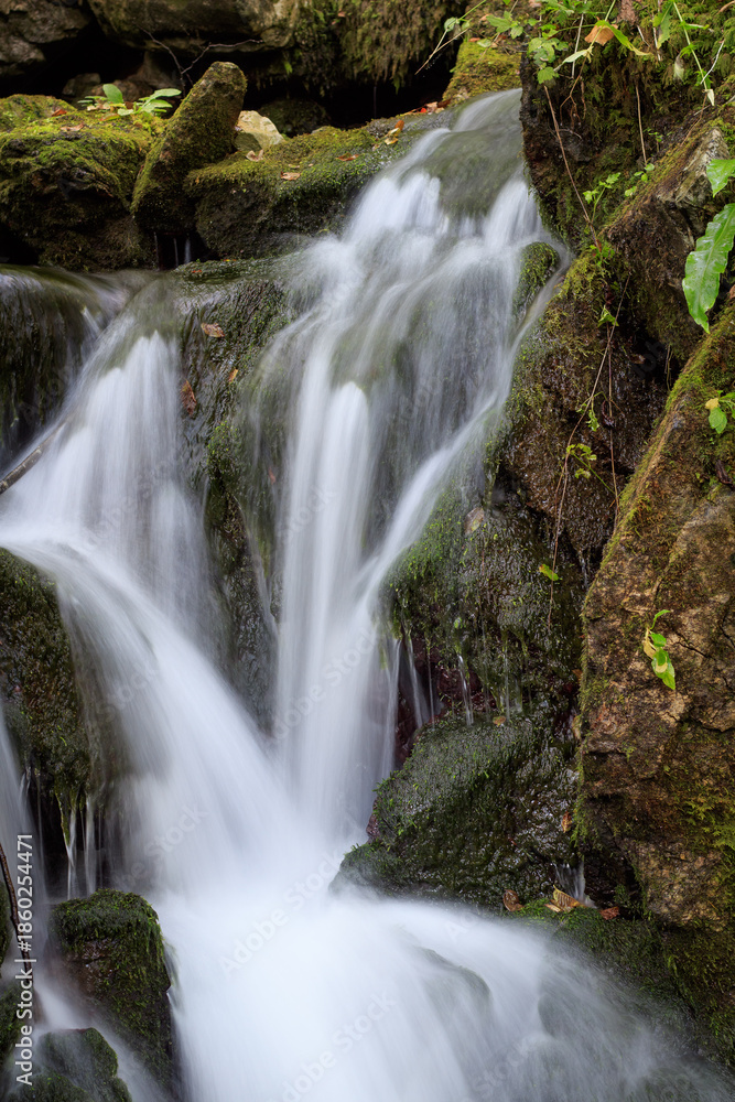 Fototapeta premium waterfall in the forest