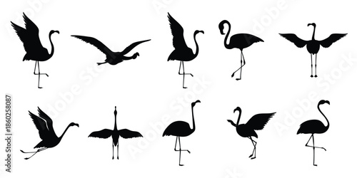  Flat flamingo silhouettes collection