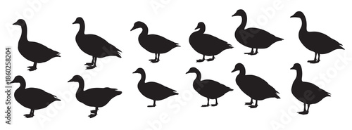 goose silhouette white background