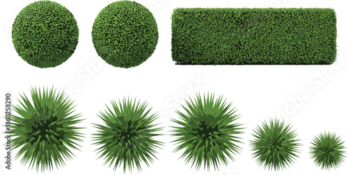 Garden bushes and ornamental shrubs set including round boxwood hedges and spiky plants flat vector illustration isolated