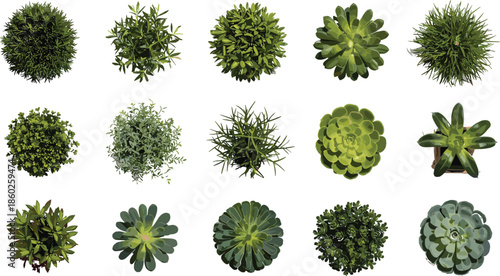 Top view garden bushes and decorative plants collection with green foliage realistic vector illustration for landscaping and design projects