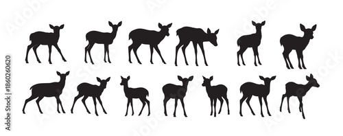 fawn silhouette white background